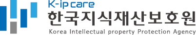 한국지식재산보호원
